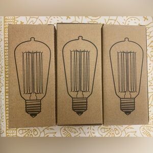 Vintage Style Edison Bulbs - Set of 3
